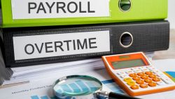 Payroll Run (Payslip per Employee)