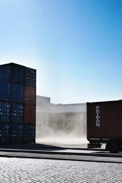 Import & Export Licenses (Combo)