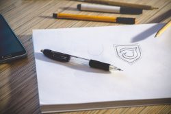 Professional Logo Design