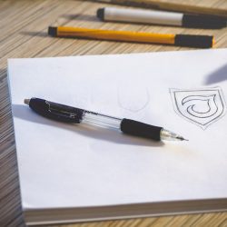 Professional Logo Design