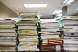 Bookkeeping (Monthly Bank Reconciliation & Record Keeping)